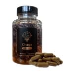 Chaga extract – 120 Caps