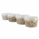 Pandora`s Magic Truffle Grow Kit - Image 2