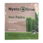 San Pedro T bridgesii Seeds - 100 pieces