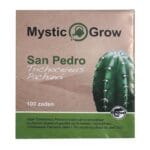 San Pedro Pachanoi Seeds - 100 pieces
