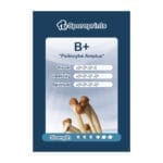 B+ Sporenprint