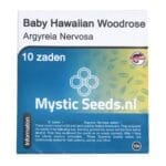 Baby Hawaiian Woodrose - 10 seeds