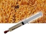 Cordyceps (Cordyceps militaris) Liquid Culture Syringe