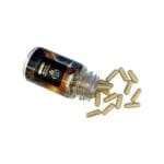 Microdose Synergy - 60 capsules - Afbeelding 2