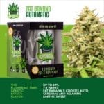 IGrowCan – Fat Banana Automatic (RQS)