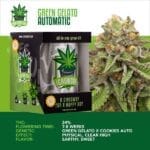 IGrowCan - Green Gelato Automatic (RQS)