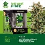 IGrowCan – White Widow Automatic (RQS)