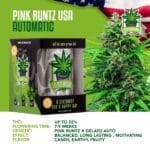 IGrowCan – Pink Runtz Automatic (RQS)