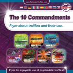 Information Booklet 100 pieces - McSmart