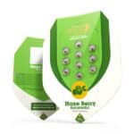 Haze Berry Automatic (RQS) - Afbeelding 2