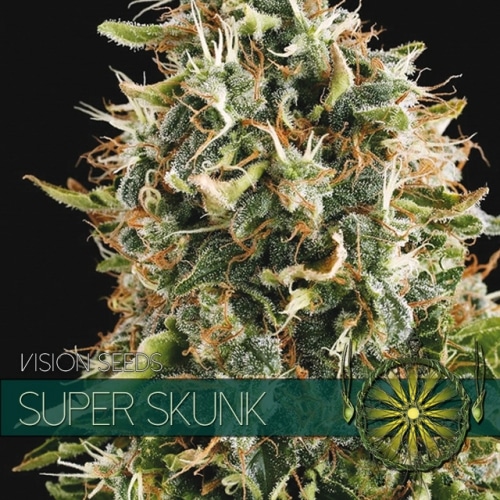 vision-seeds-super-skunk-500x500 Super Skunk (Vision Seeds) - Afbeelding 1