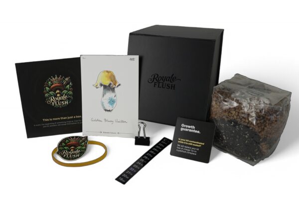 RoyaleFlush1200ccgrowkit-600x400 Royale Flush Iceberg Growkit - 1200cc - Afbeelding 1