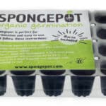 Spongepots