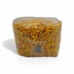 Sterile Corn Breeding Bag - 2000 cc