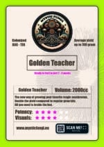 Golden Teacher XL Paddo Kweekzak - Afbeelding 3